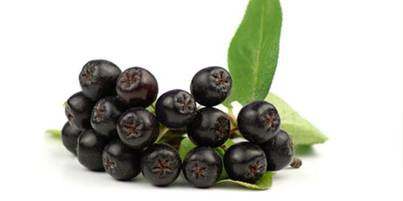 Fruits of black mountain ash useful for diabetes